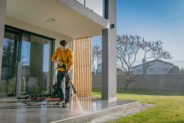 Best Graffiti Removal  in Griswold, IA