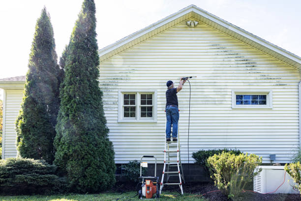 Best Gutter Cleaning  in Griswold, IA